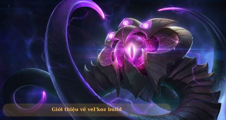 vel'koz build