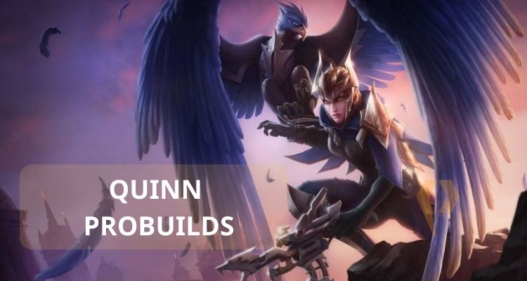 quinn probuilds