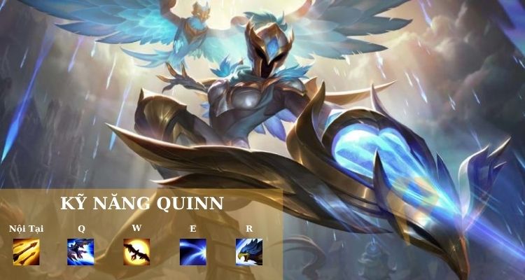 quinn build